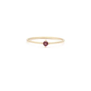 Element Ring | 14k Gold & Garnet