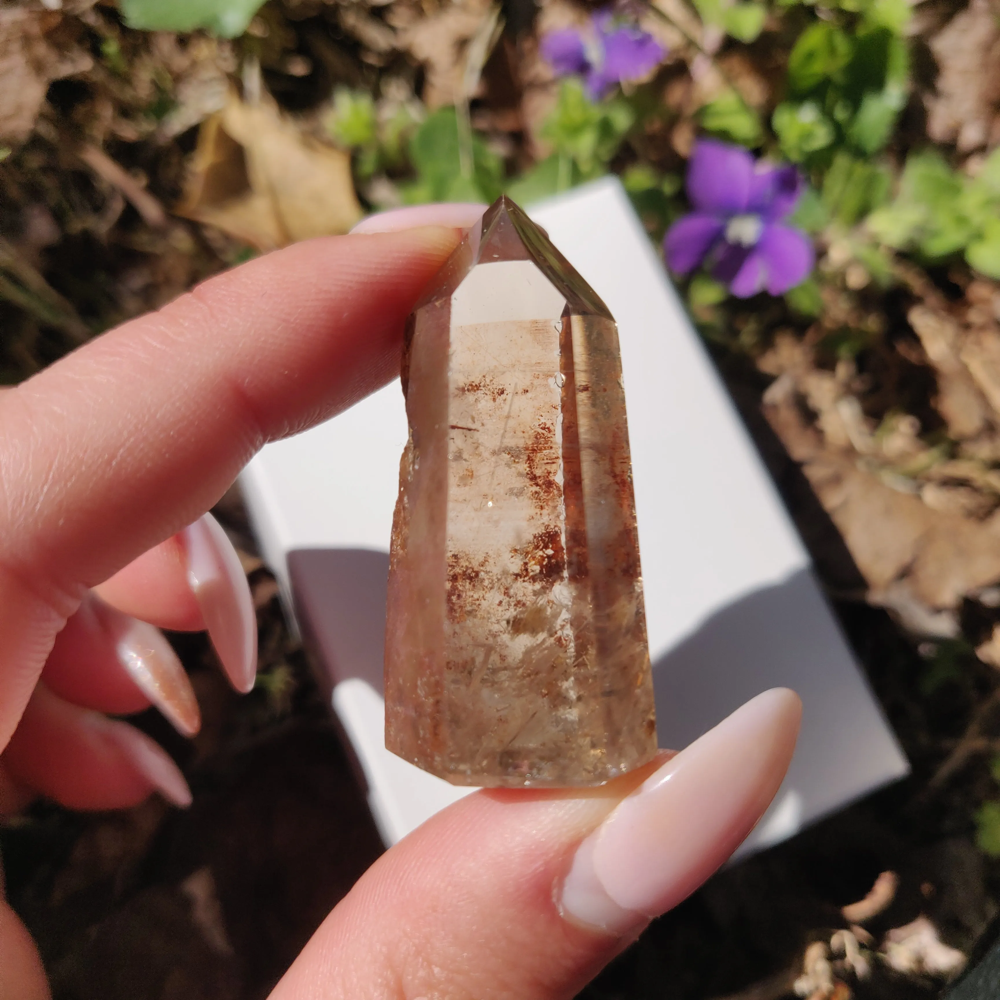 Garden Quartz Point with Rutile Inclusions, Lodolite Point (#7G)