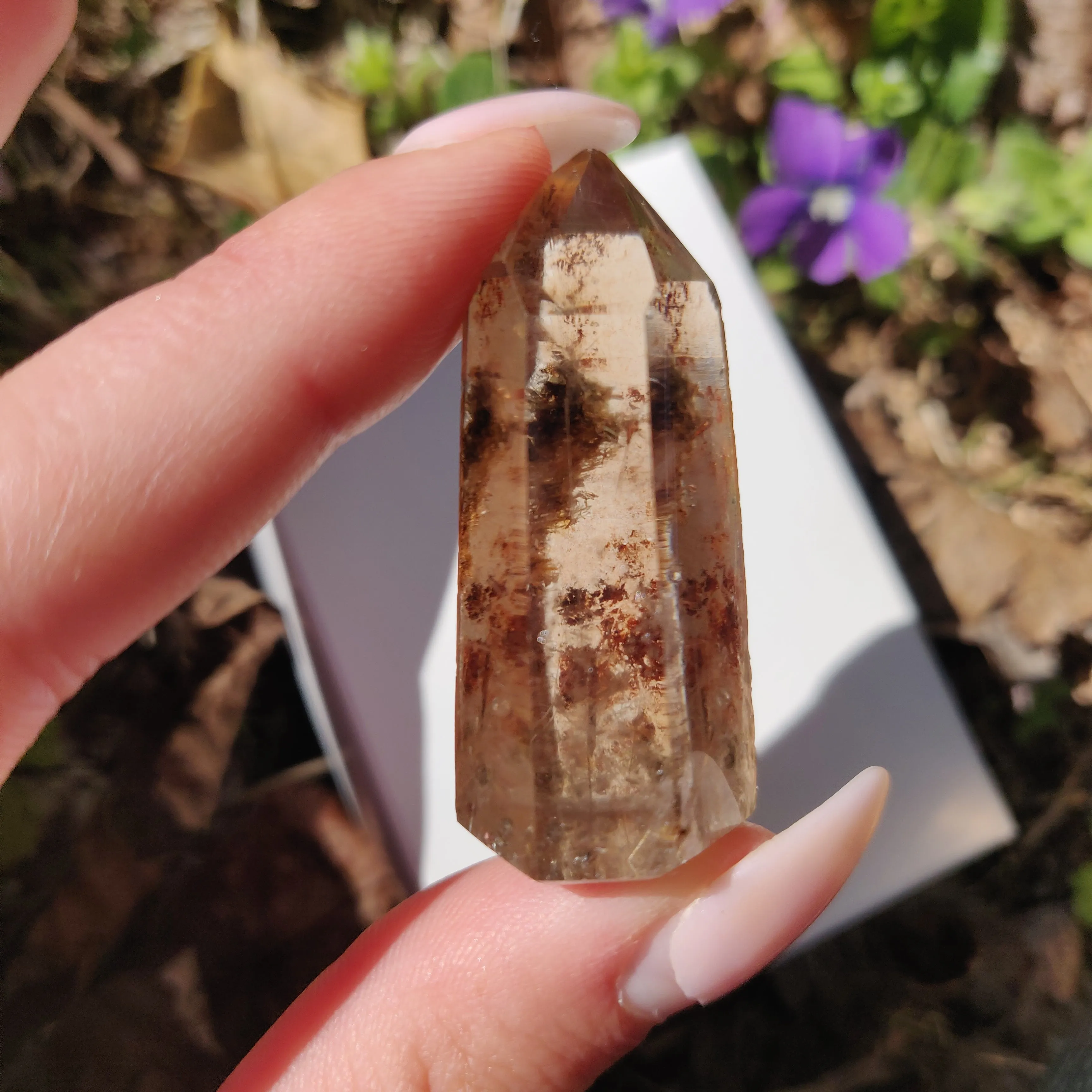 Garden Quartz Point with Rutile Inclusions, Lodolite Point (#7G)