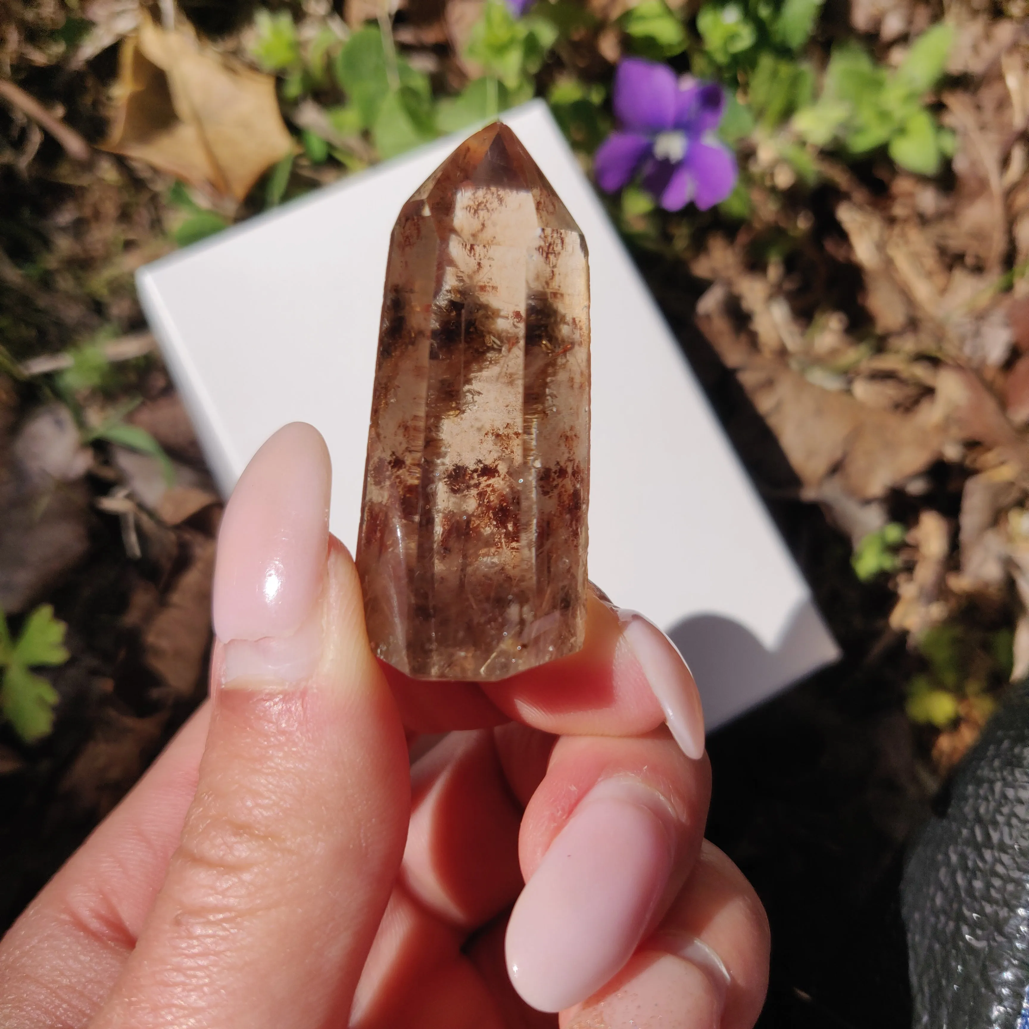 Garden Quartz Point with Rutile Inclusions, Lodolite Point (#7G)