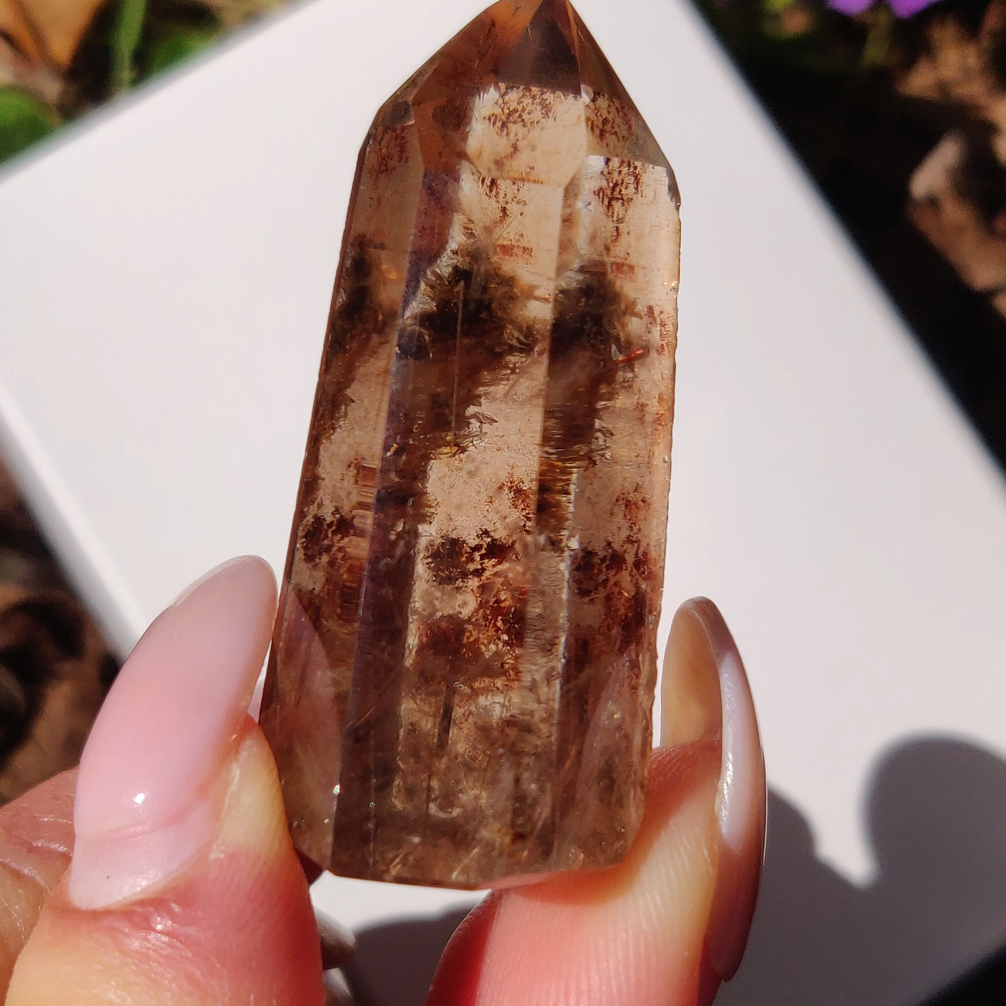 Garden Quartz Point with Rutile Inclusions, Lodolite Point (#7G)