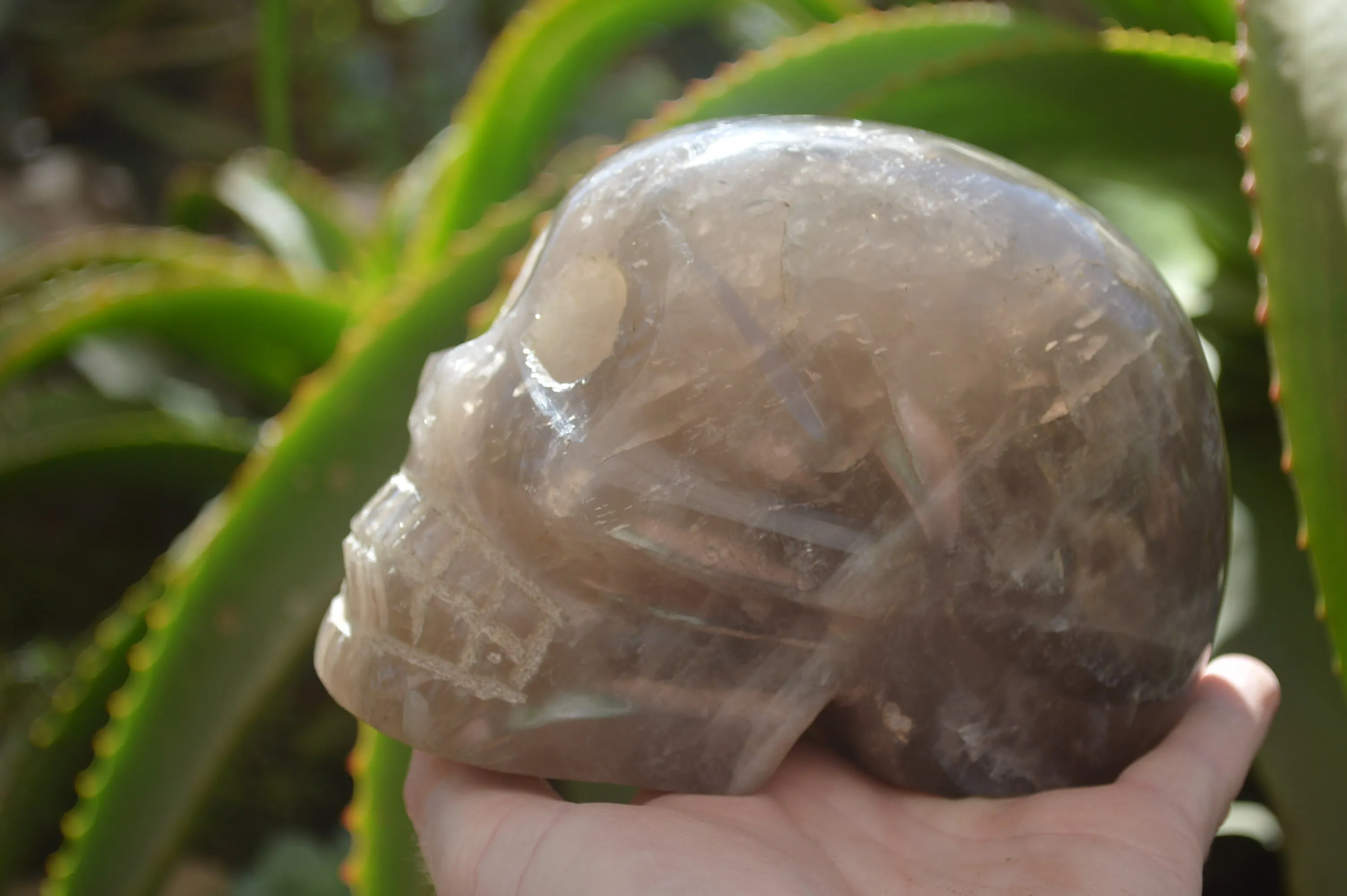 Hand Made Smokey Quartz Skull Carving x 1 From Madagascar