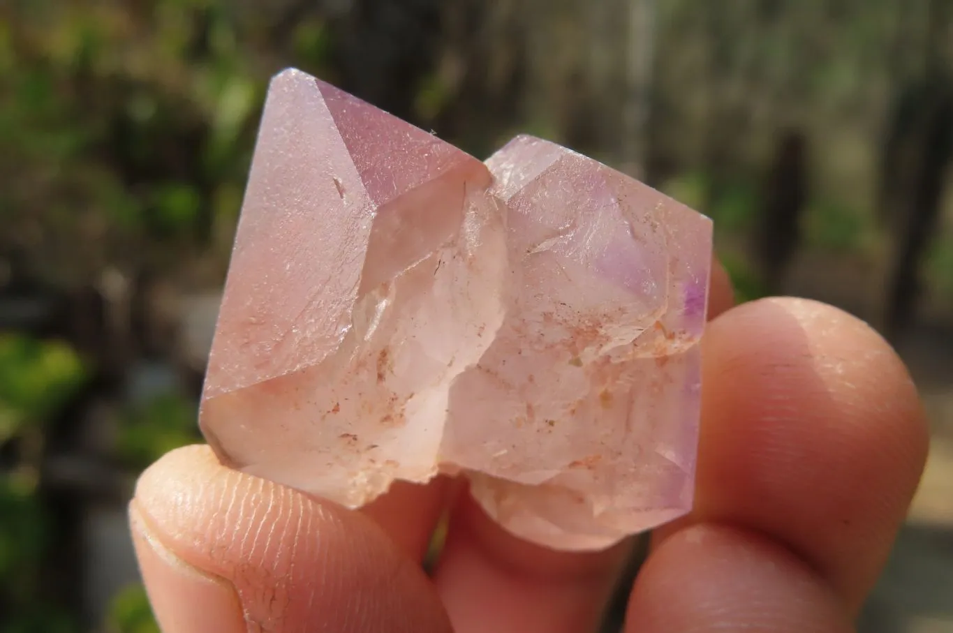 Natural Amethyst Sceptre Crystals x 35 From Madagascar