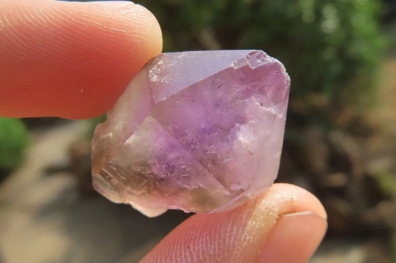 Natural Amethyst Sceptre Crystals x 35 From Madagascar