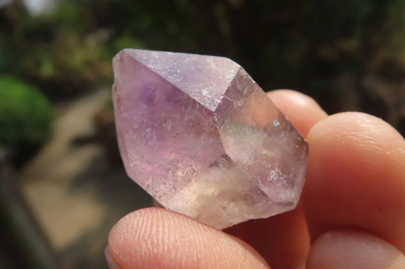 Natural Amethyst Sceptre Crystals x 35 From Madagascar