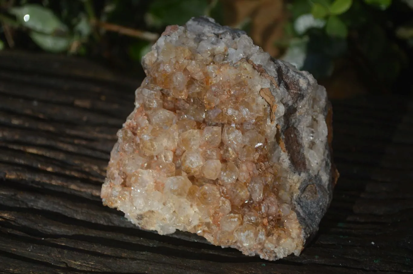 Natural Golden Limonite Quartz Clusters x 3 From Zambia