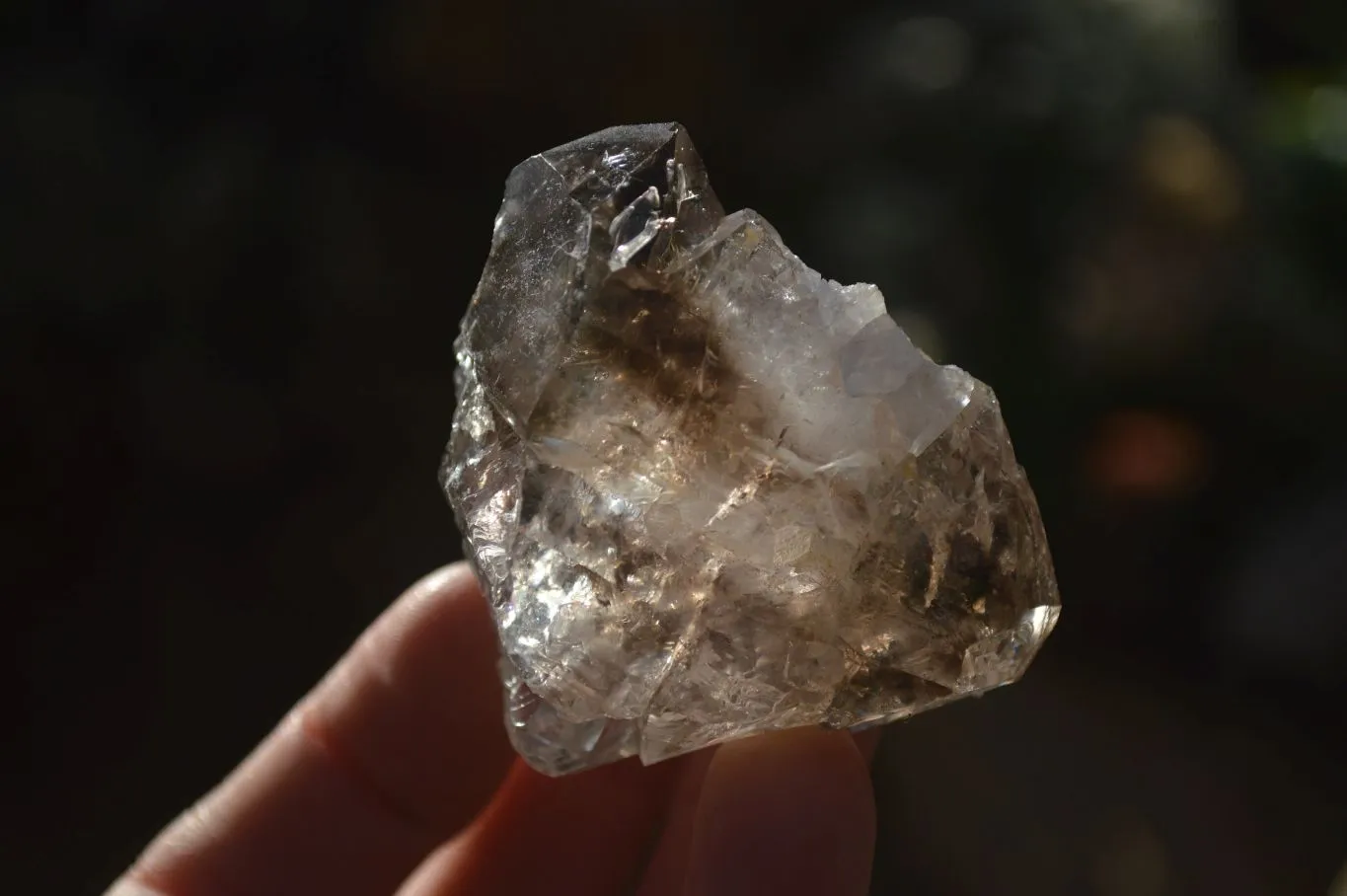 Natural Large Smokey Window Brandberg Quartz Crystals x 6 From Brandberg, Namibia