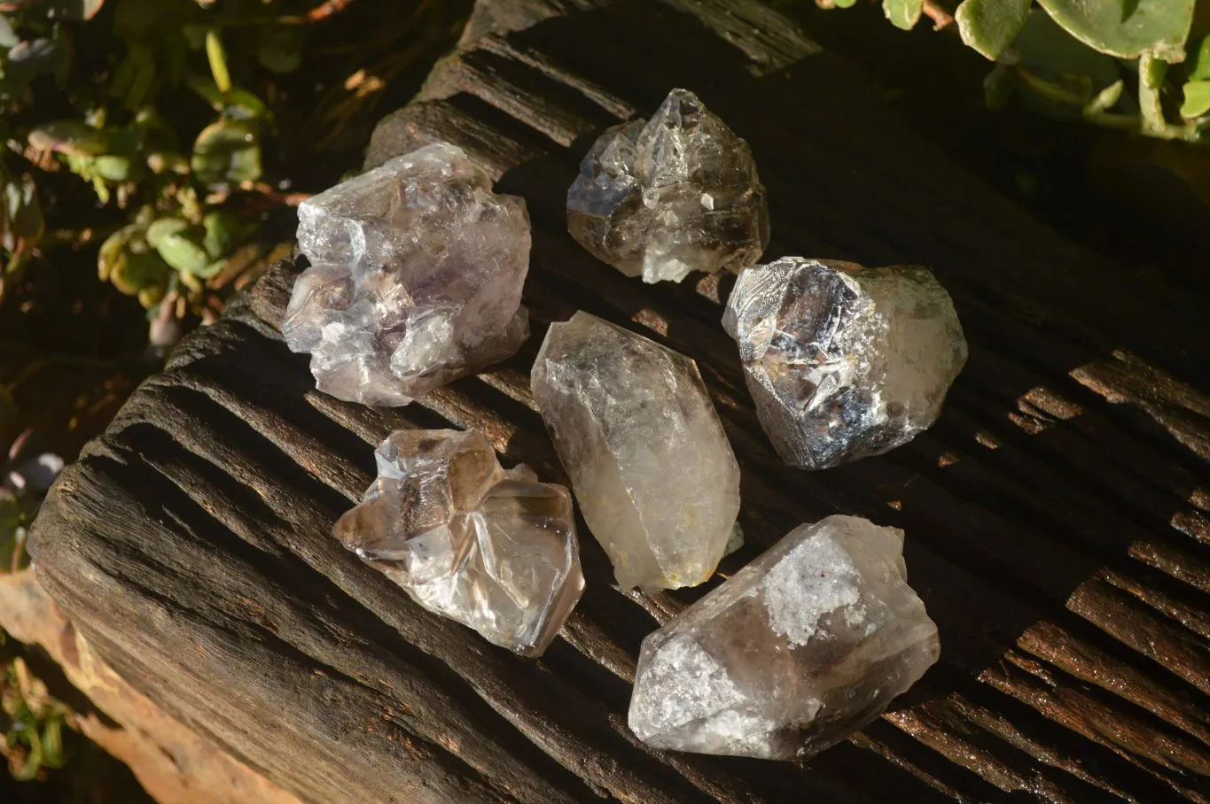 Natural Large Smokey Window Brandberg Quartz Crystals x 6 From Brandberg, Namibia