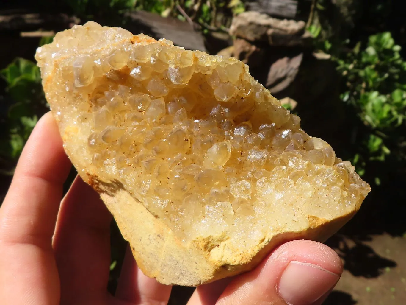 Natural  Limonite Quartz Clusters x 5 From Solwezi, Zambia