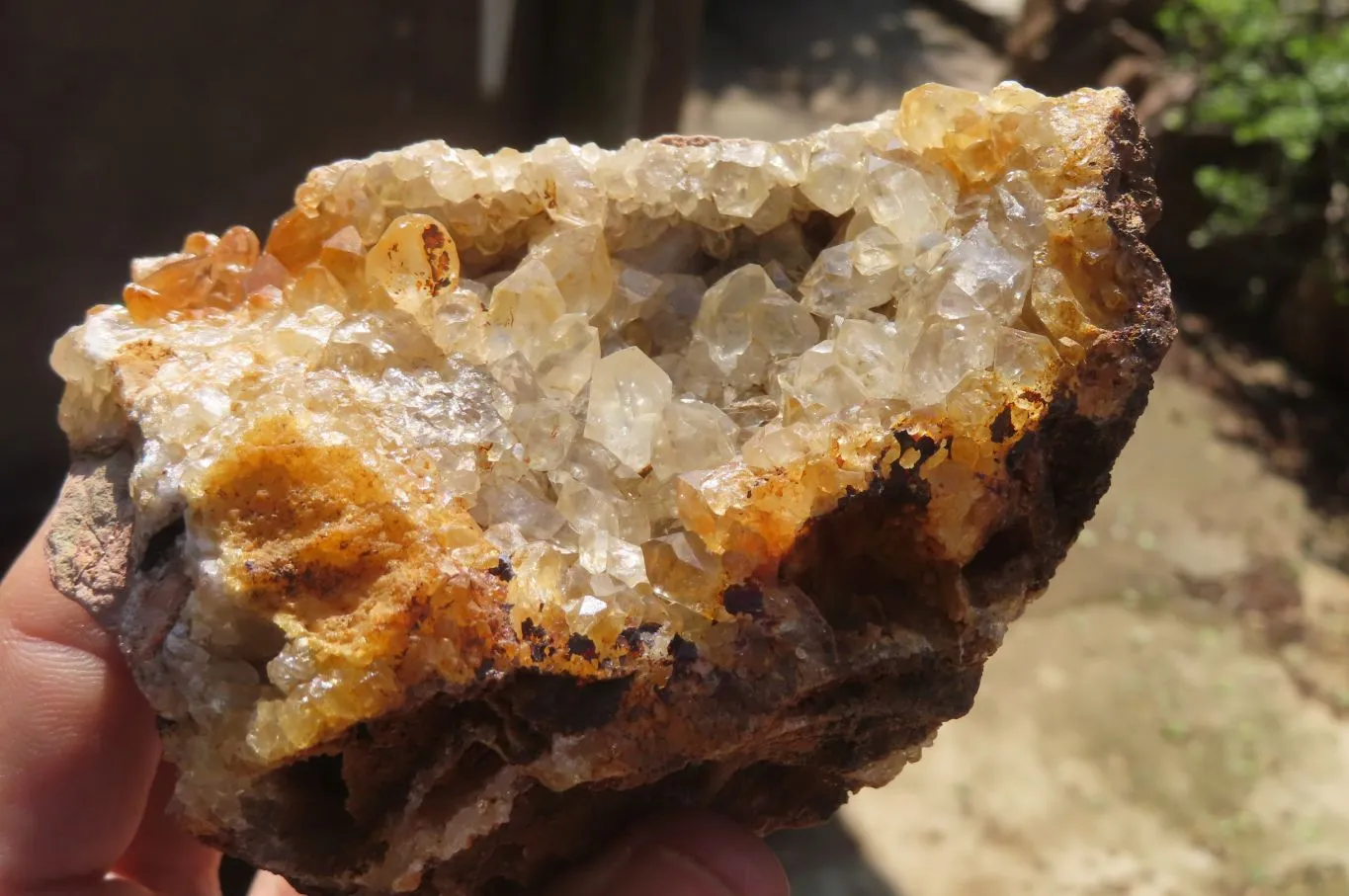 Natural Limonite Quartz Specimens x 5 From Zambia