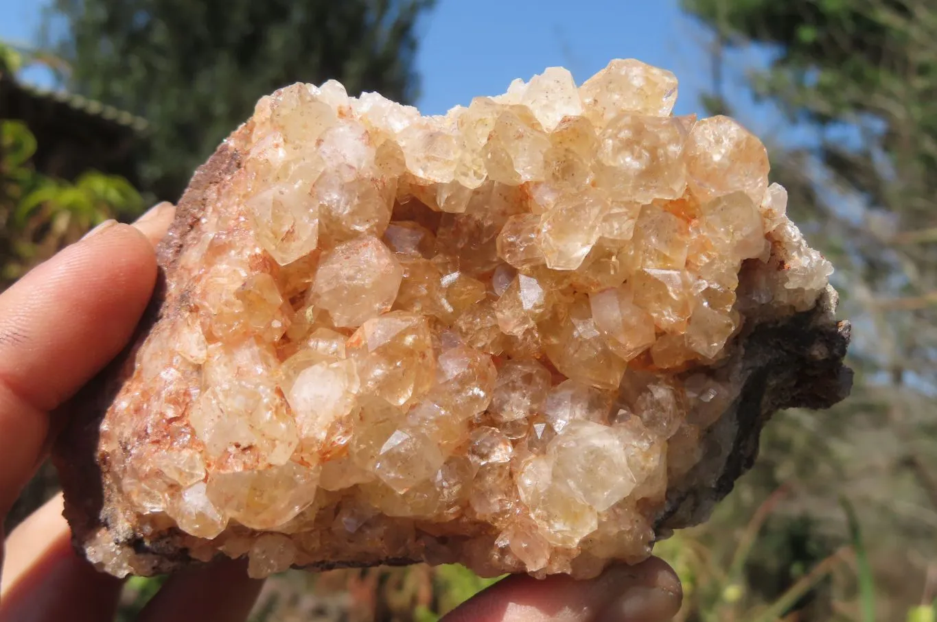 Natural Limonite Quartz Specimens x 5 From Zambia