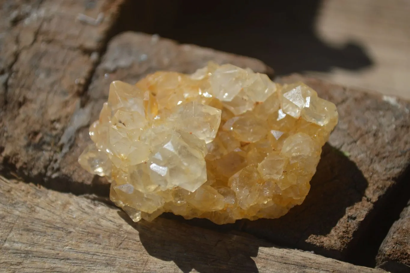 Natural Mini Limonite Quartz Specimens x 61 From Solwezi, Zambia