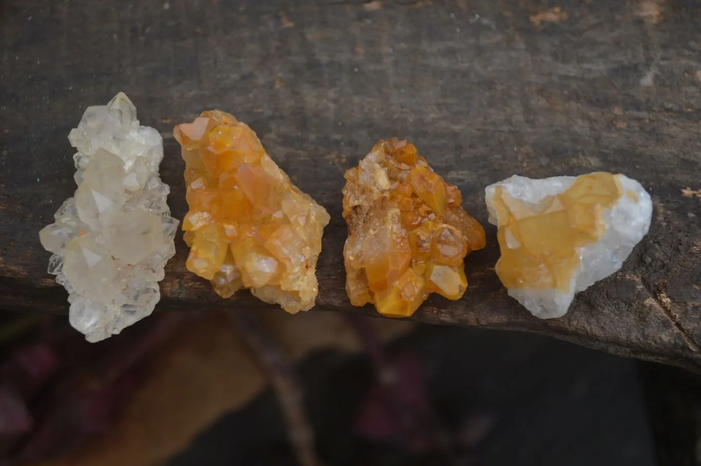 Natural Mini Limonite Quartz Specimens x 61 From Solwezi, Zambia