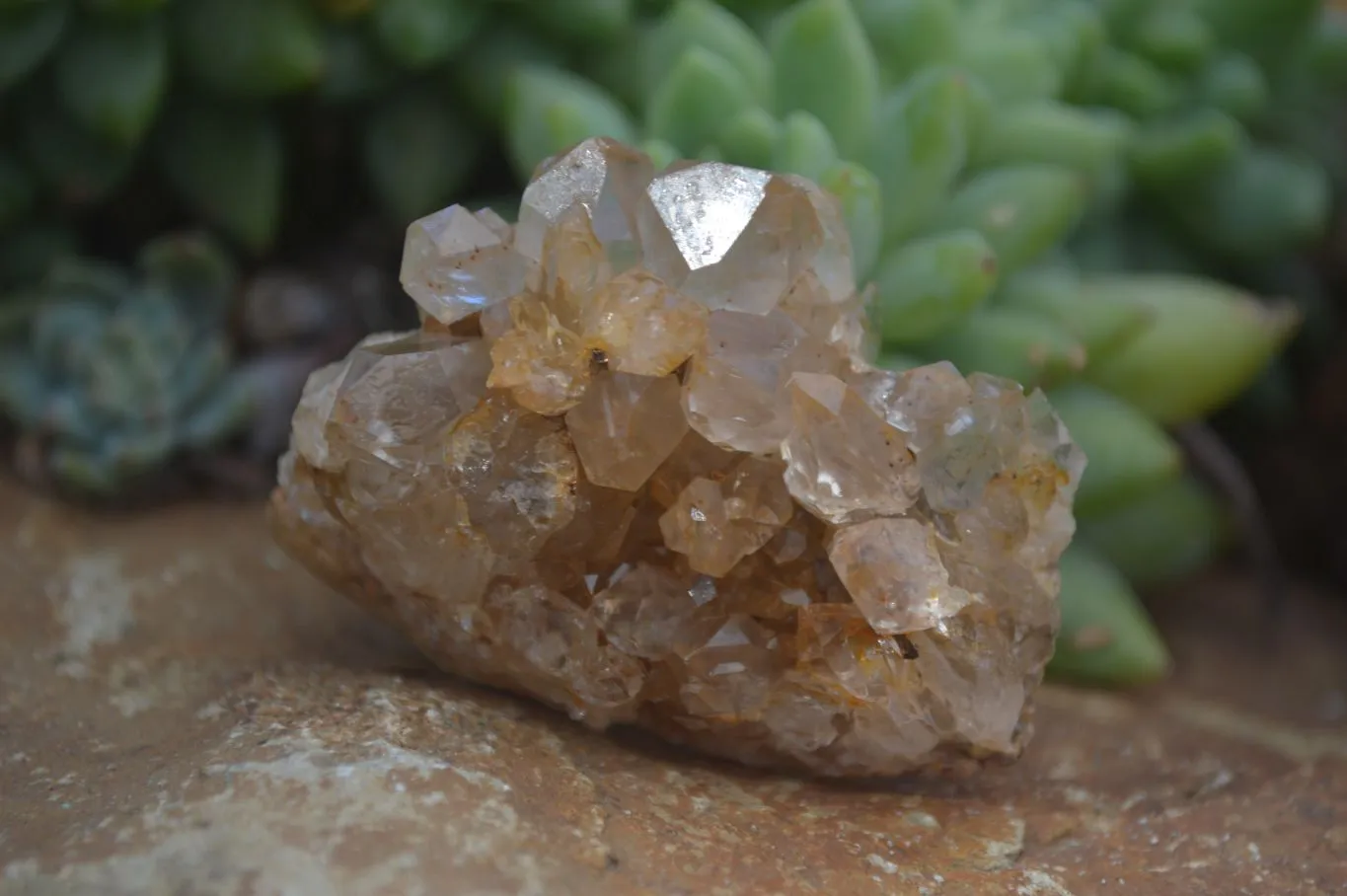 Natural Mini Limonite Quartz Specimens x 61 From Solwezi, Zambia