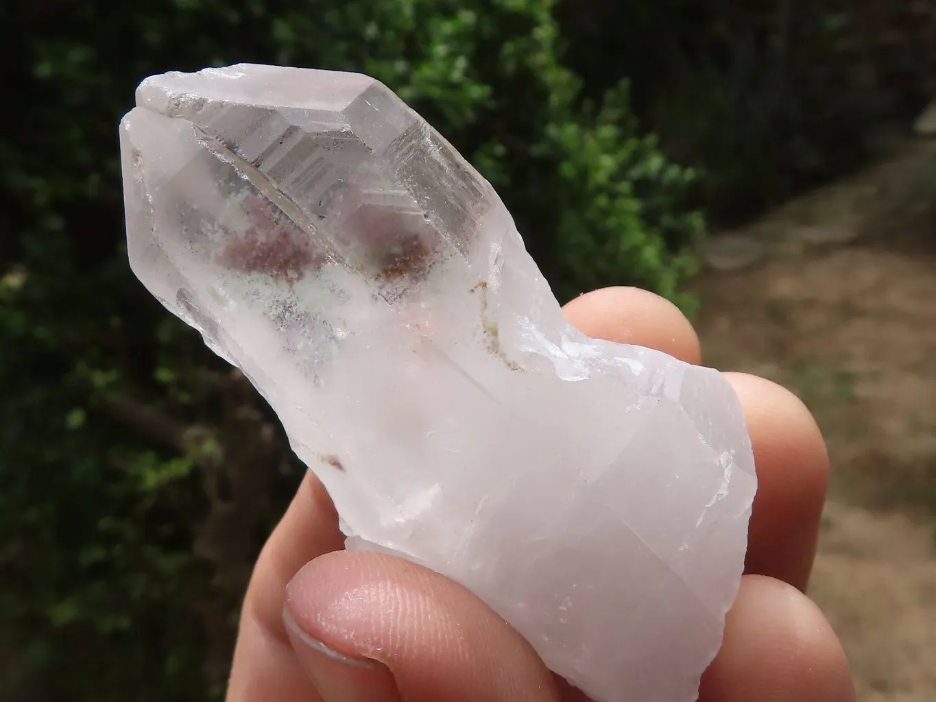 Natural Single Quartz Crystals x 24 From Madagascar