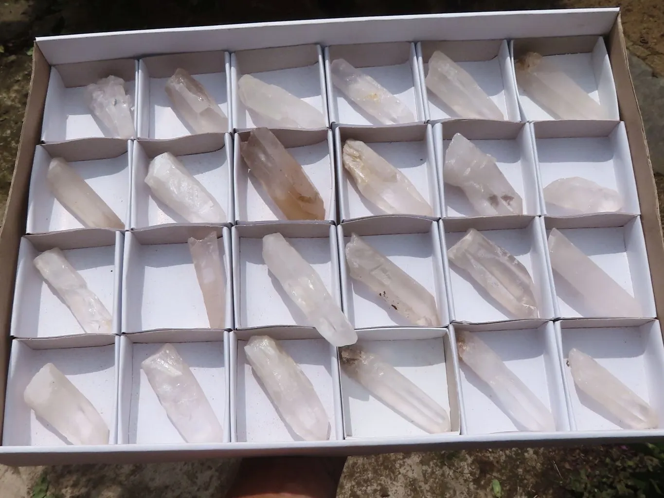 Natural Single Quartz Crystals x 24 From Madagascar