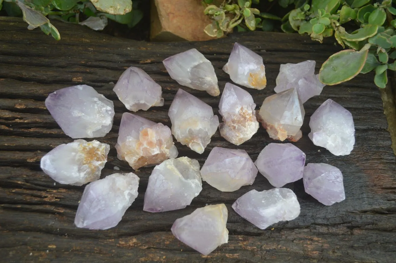 Natural Single Spirit Amethyst Quartz Crystals x 24 From Boekenhouthoek, South Africa