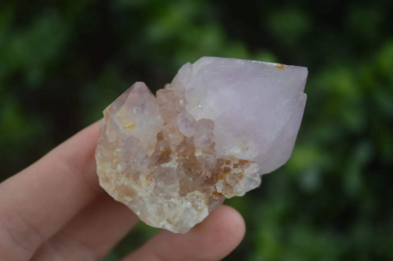 Natural Single Spirit Amethyst Quartz Crystals x 24 From Boekenhouthoek, South Africa