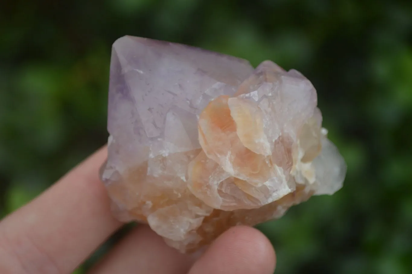 Natural Single Spirit Amethyst Quartz Crystals x 24 From Boekenhouthoek, South Africa