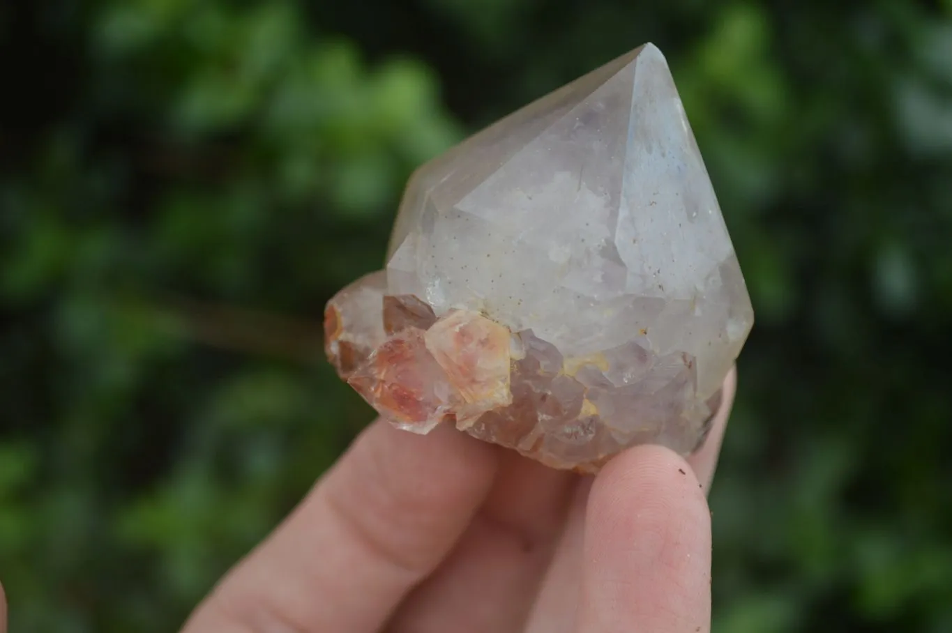 Natural Single Spirit Amethyst Quartz Crystals x 24 From Boekenhouthoek, South Africa