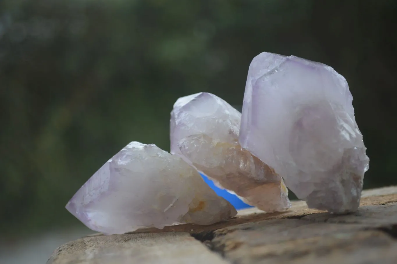 Natural Single Spirit Amethyst Quartz Crystals x 24 From Boekenhouthoek, South Africa