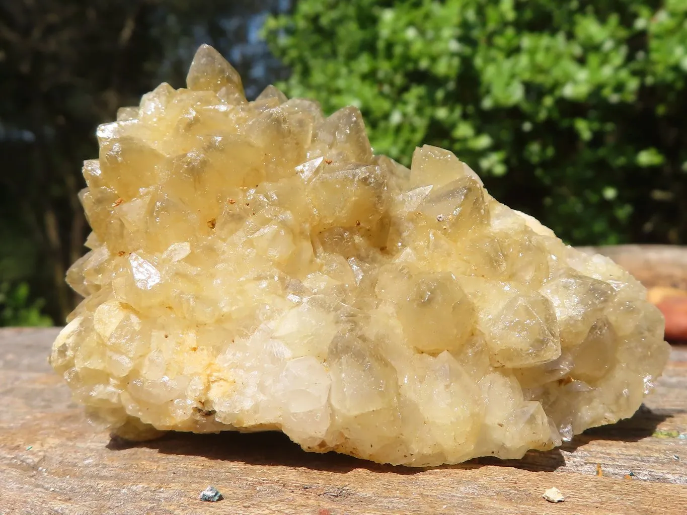 Natural Small Limonite Quartz Clusters x 24 From Solwezi, Zambia