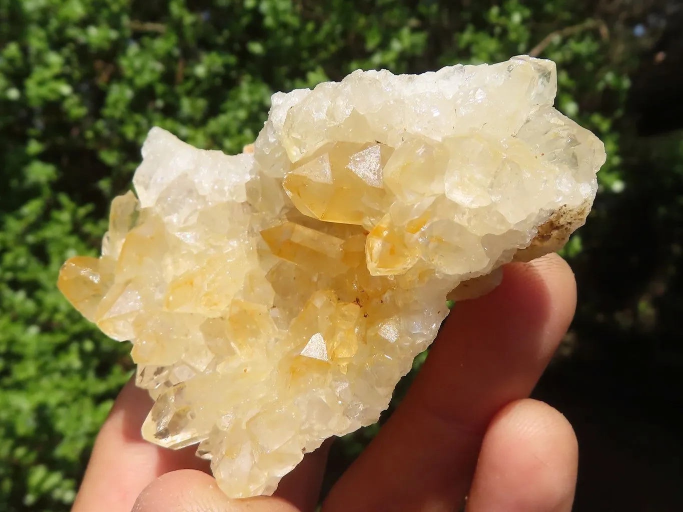 Natural Small Limonite Quartz Clusters x 24 From Solwezi, Zambia