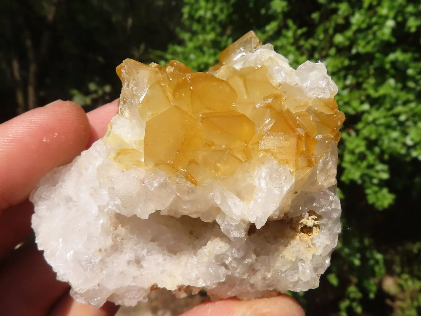 Natural Small Limonite Quartz Clusters x 24 From Solwezi, Zambia