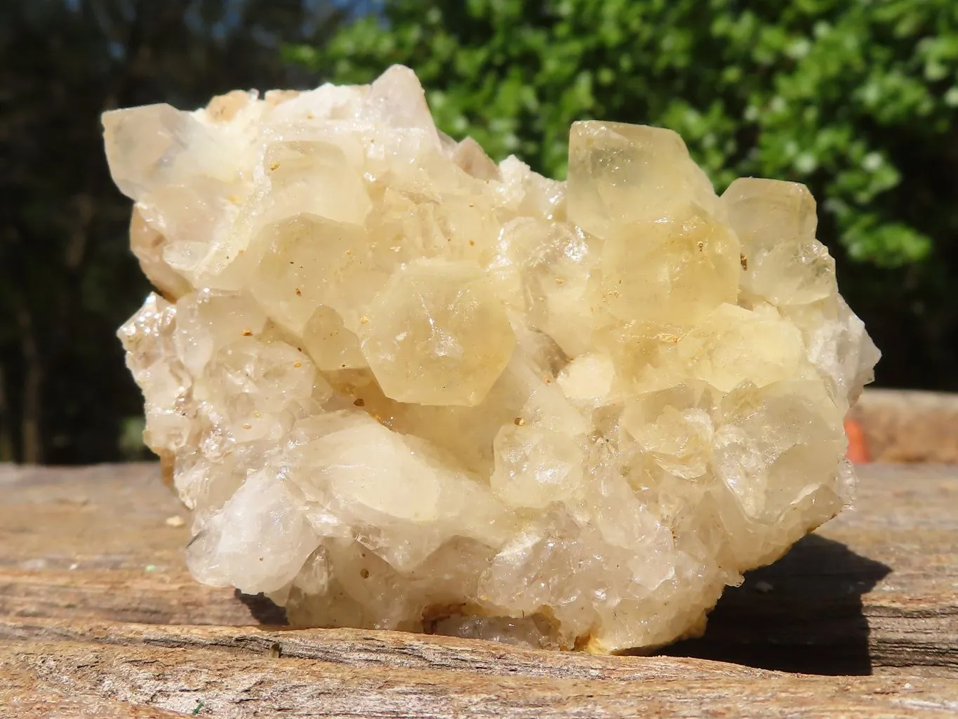 Natural Small Limonite Quartz Clusters x 24 From Solwezi, Zambia