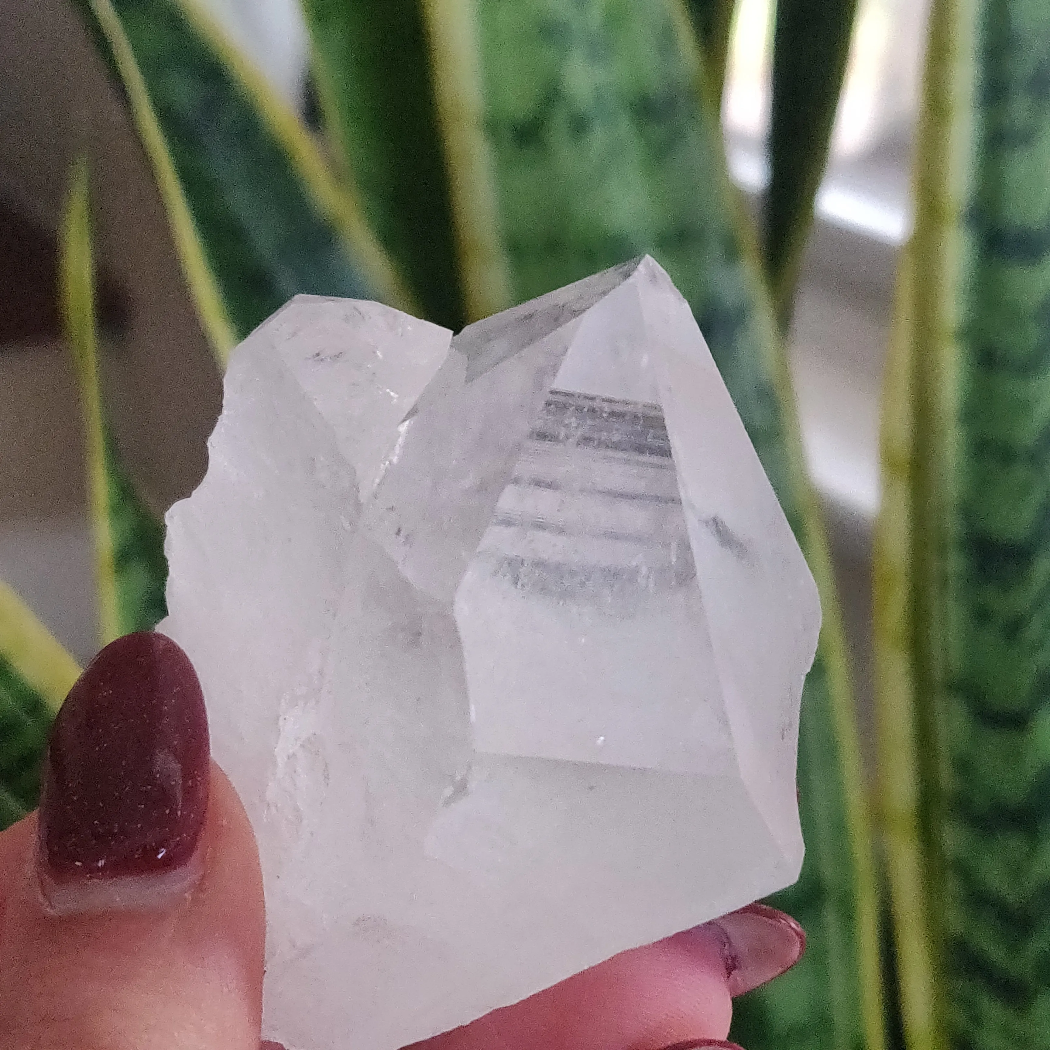 Raw Clear Quartz Point  (#A6)