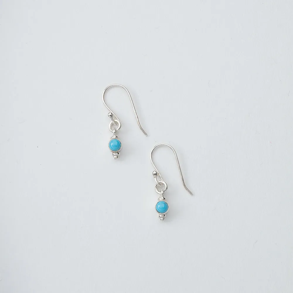 Small Turquoise Stone Dangle Earrings