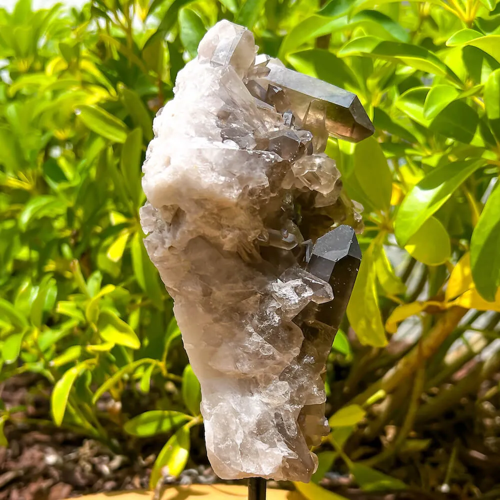 Smoky Quartz on a Stand