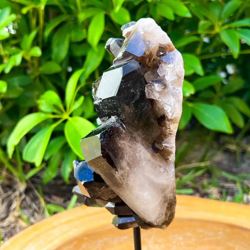 Smoky Quartz on a Stand