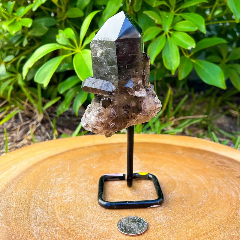 Smoky Quartz on a Stand