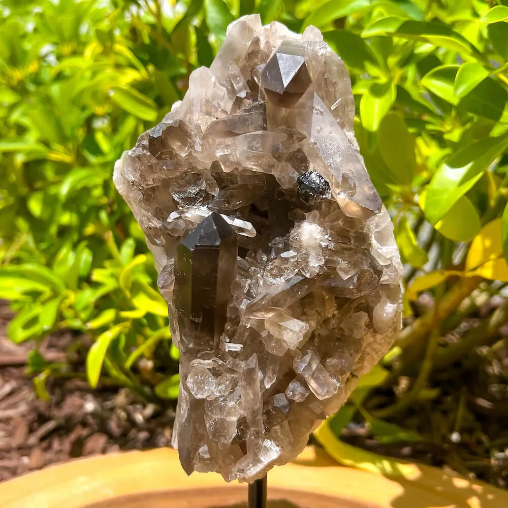 Smoky Quartz on a Stand