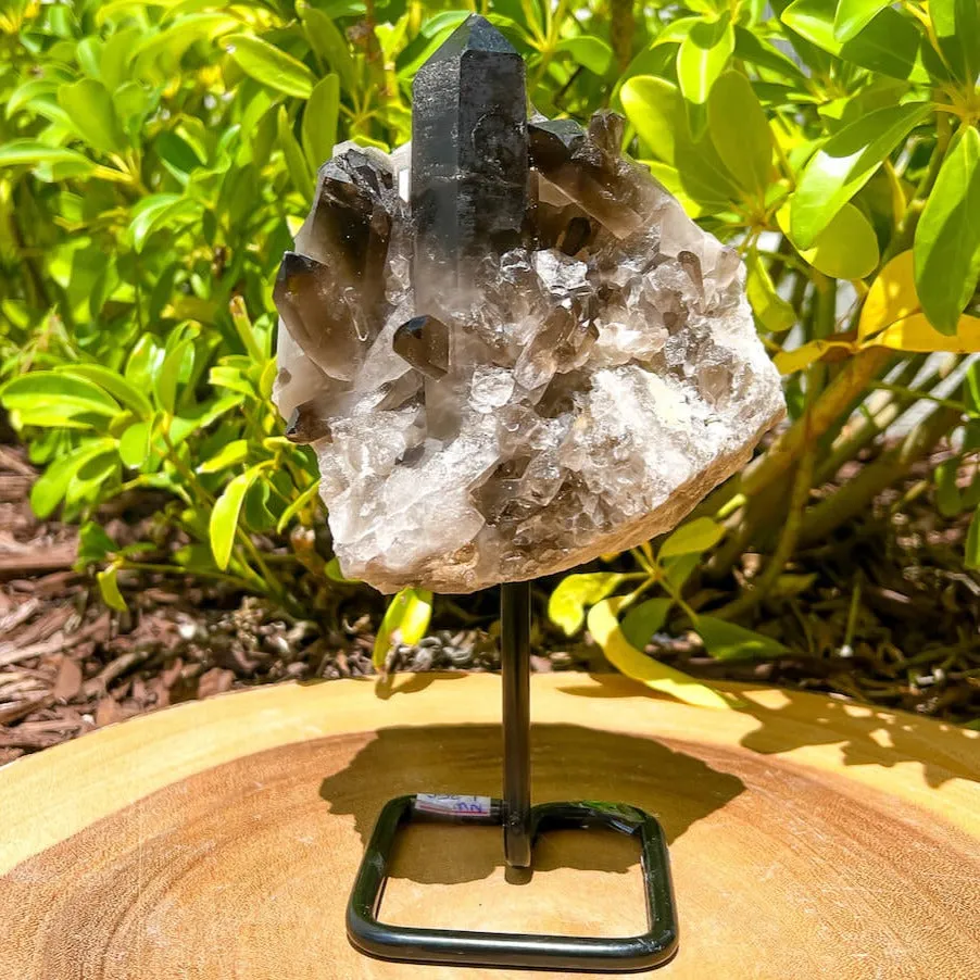 Smoky Quartz on a Stand