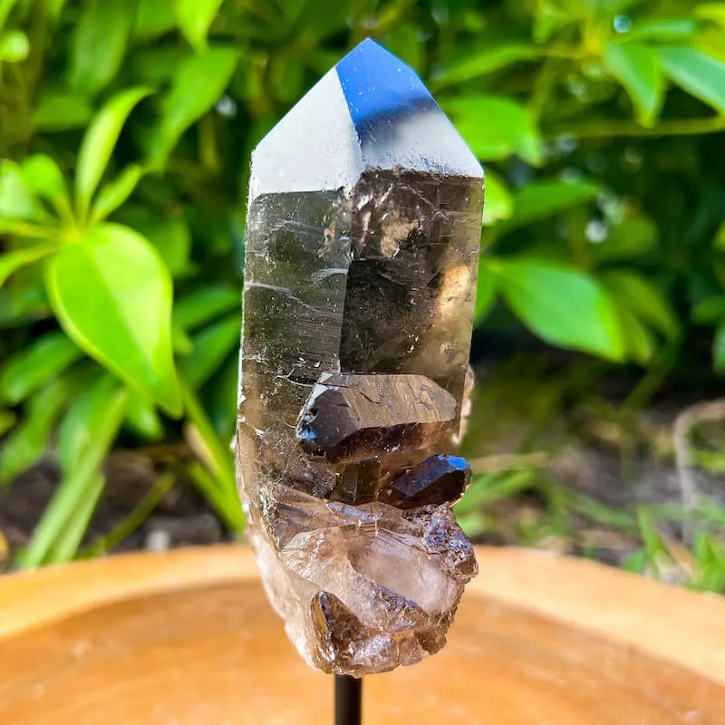 Smoky Quartz on a Stand