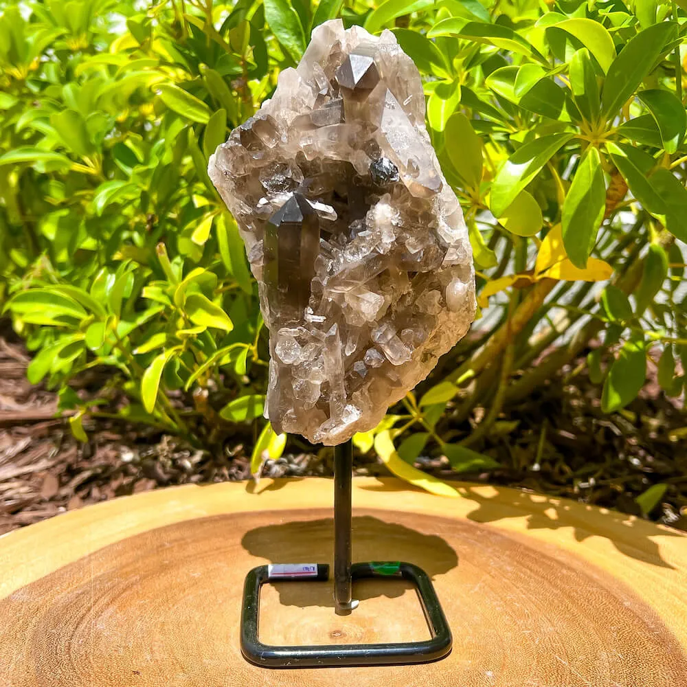 Smoky Quartz on a Stand