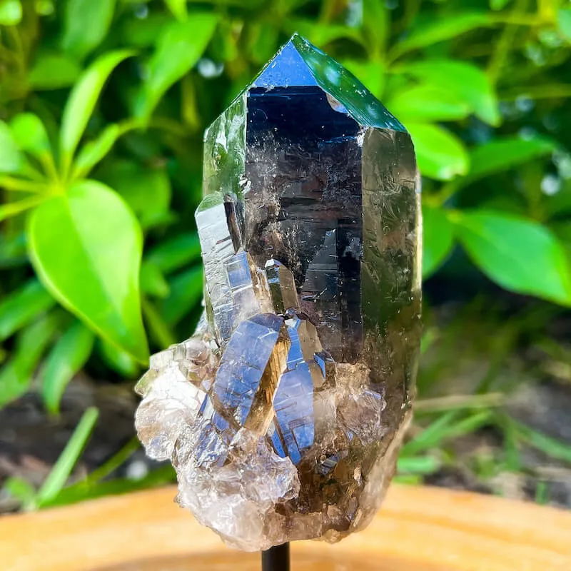 Smoky Quartz on a Stand