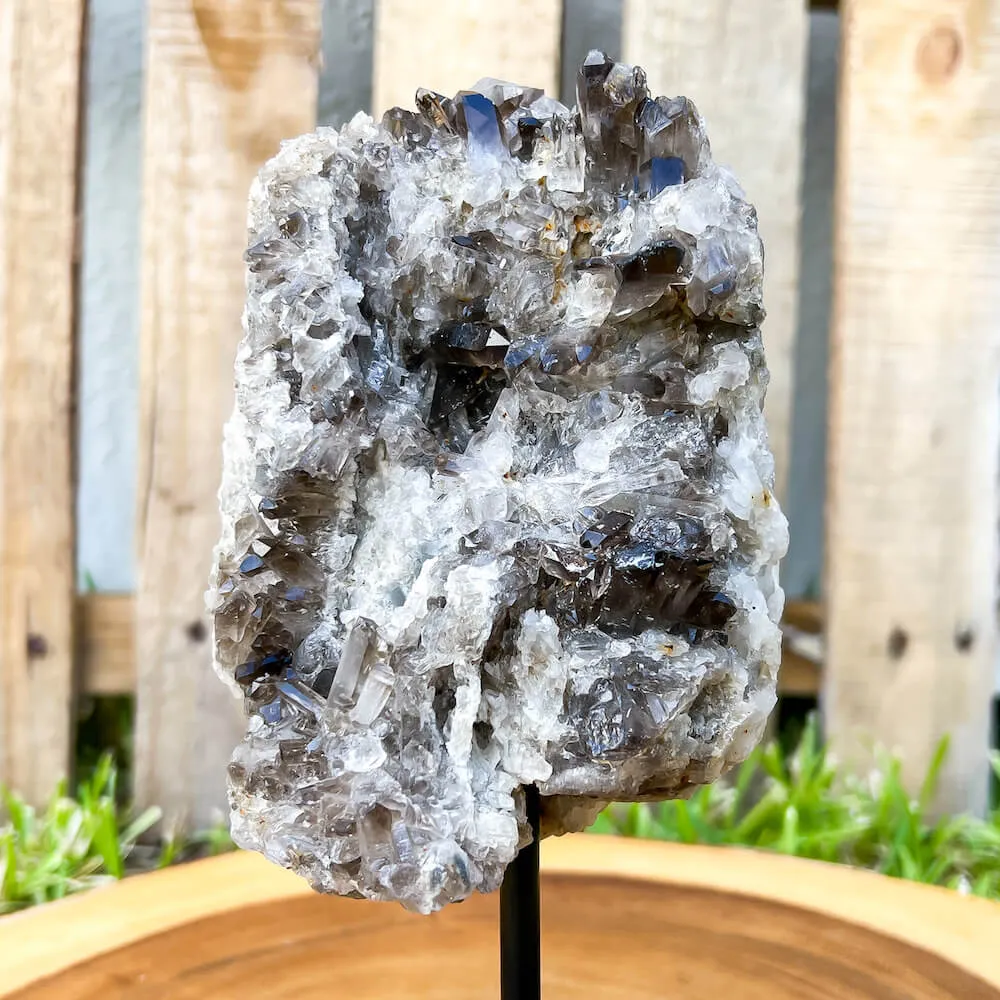 Smoky Quartz on a Stand