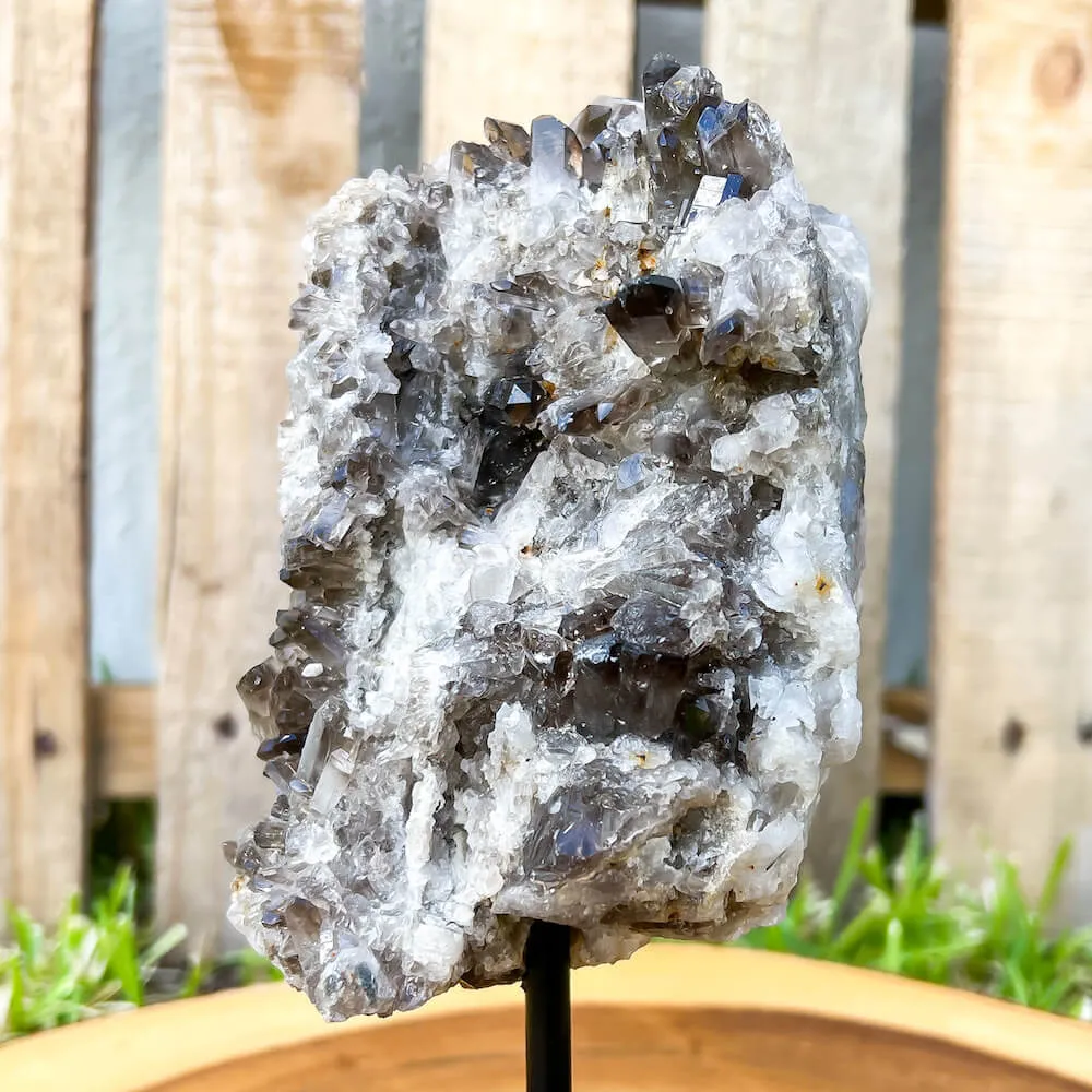 Smoky Quartz on a Stand