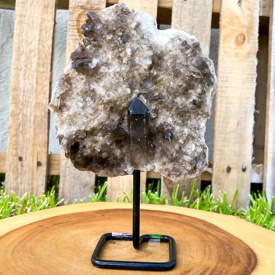 Smoky Quartz on a Stand