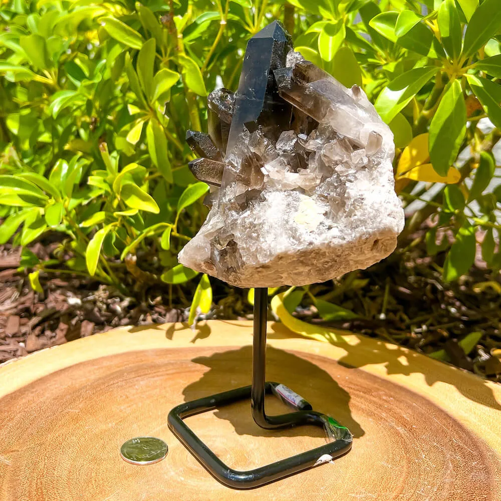 Smoky Quartz on a Stand