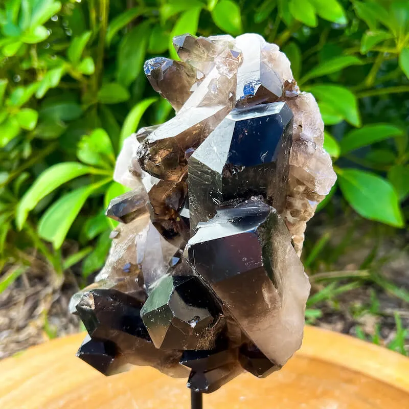 Smoky Quartz on a Stand