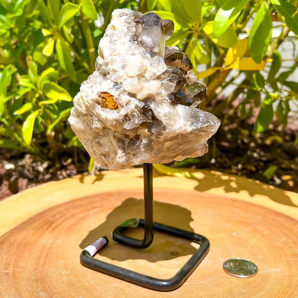 Smoky Quartz on a Stand