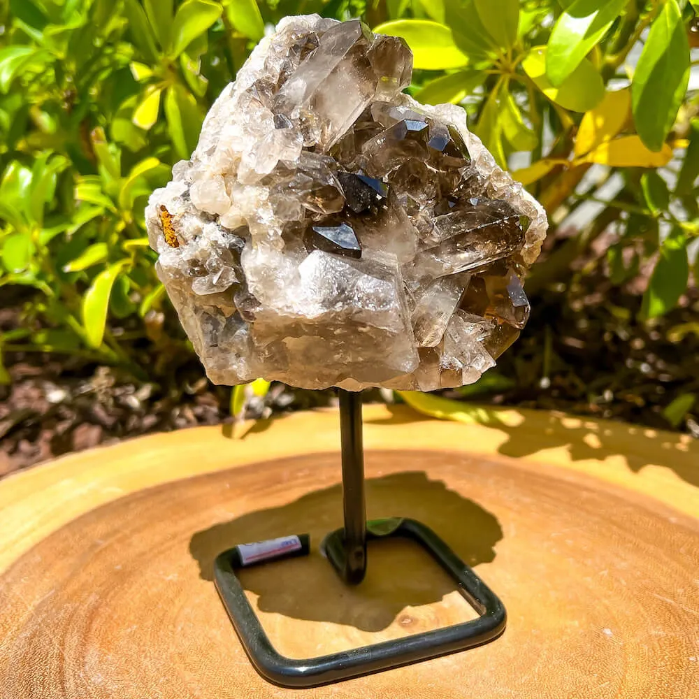 Smoky Quartz on a Stand