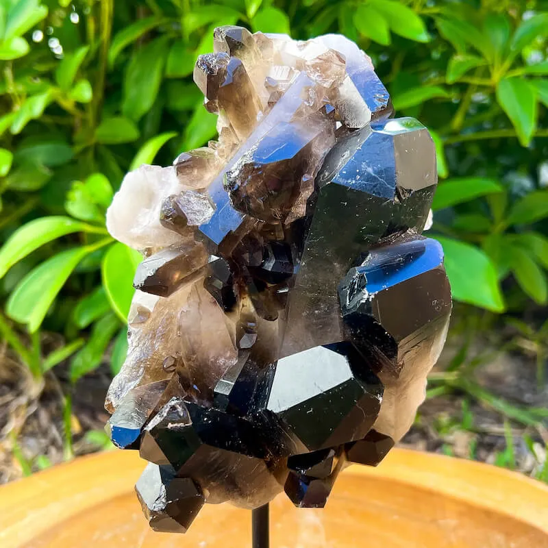 Smoky Quartz on a Stand