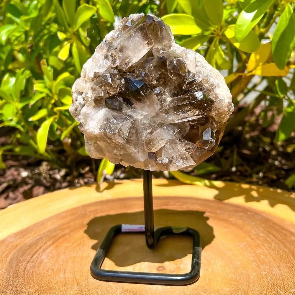 Smoky Quartz on a Stand