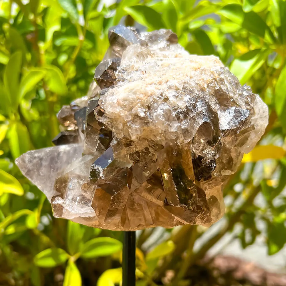 Smoky Quartz on a Stand