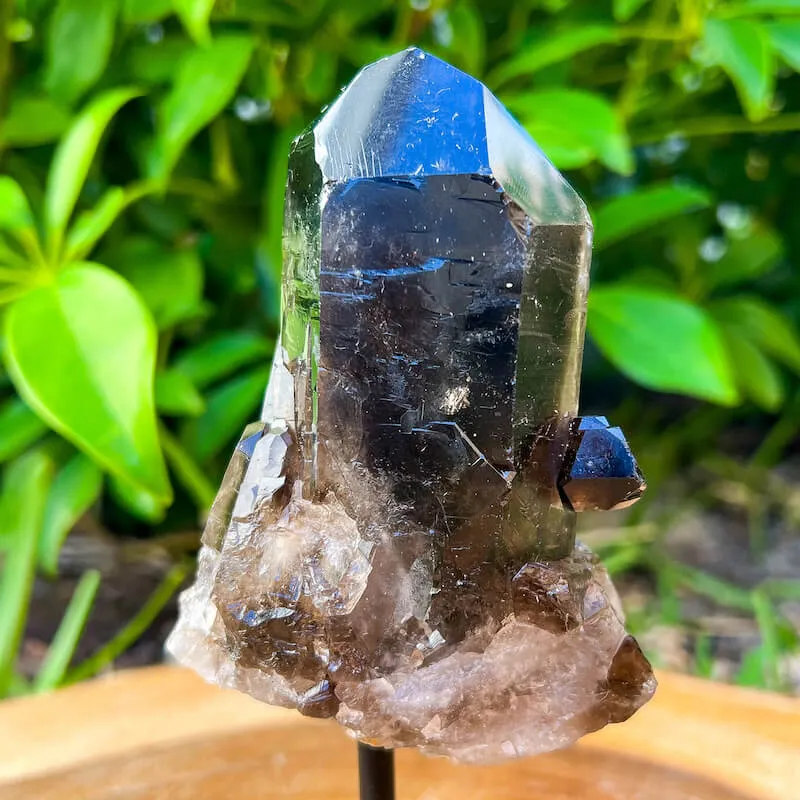 Smoky Quartz on a Stand